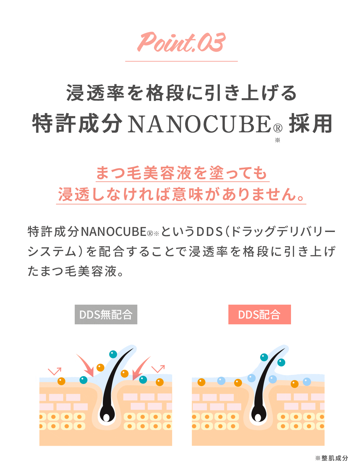 エターナル アイラッシュ